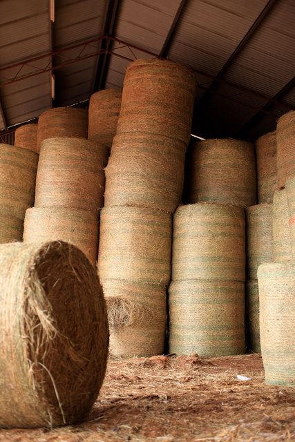 Quality Hay & Feed